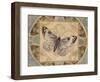 Nature's Butterfly II-Piper Ballantyne-Framed Art Print