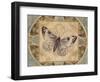 Nature's Butterfly II-Piper Ballantyne-Framed Art Print