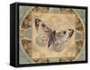 Nature's Butterfly II-Piper Ballantyne-Framed Stretched Canvas