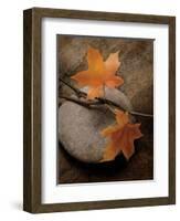 Nature's Calm-Julie Greenwood-Framed Art Print