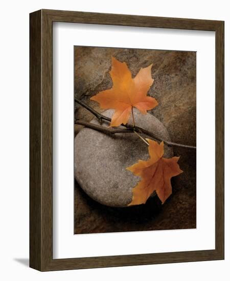 Nature's Calm-Julie Greenwood-Framed Art Print