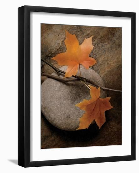 Nature's Calm-Julie Greenwood-Framed Art Print