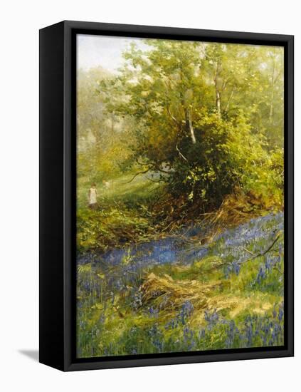 Nature's Carpet-John Noel-Framed Stretched Canvas