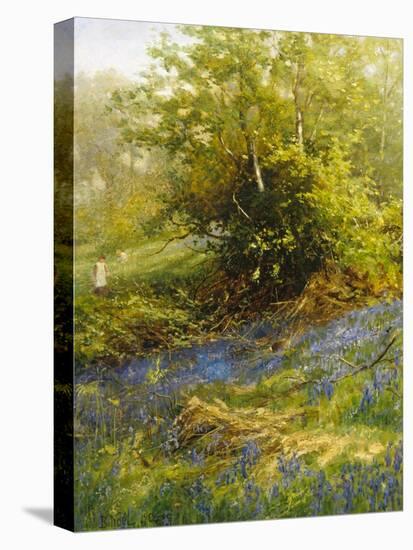 Nature's Carpet-John Noel-Stretched Canvas