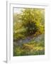 Nature's Carpet-John Noel-Framed Giclee Print