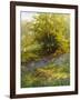 Nature's Carpet-John Noel-Framed Giclee Print