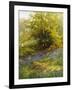 Nature's Carpet-John Noel-Framed Giclee Print