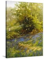 Nature's Carpet-John Noel-Stretched Canvas