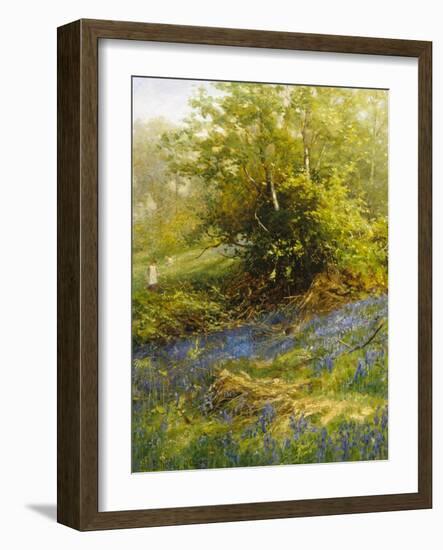 Nature's Carpet-John Noel-Framed Giclee Print