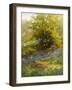 Nature's Carpet-John Noel-Framed Giclee Print