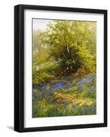 Nature's Carpet-John Noel-Framed Giclee Print