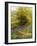 Nature's Carpet-John Noel-Framed Giclee Print