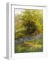 Nature's Carpet-John Noel-Framed Giclee Print