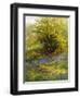 Nature's Carpet-John Noel-Framed Giclee Print