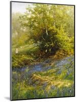 Nature's Carpet-John Noel-Mounted Giclee Print