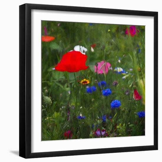 Nature's Colourbox, 2019,-Helen White-Framed Giclee Print