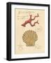 Nature's Curiosities 2-Chad Barrett-Framed Art Print