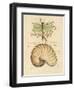 Nature's Curiosities 4-Chad Barrett-Framed Art Print