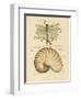 Nature's Curiosities 4-Chad Barrett-Framed Art Print