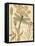 Nature's Curiosities 8-Chad Barrett-Framed Stretched Canvas