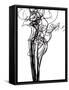 Nature's Dance III-Monika Burkhart-Framed Stretched Canvas