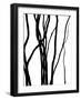 Nature's Dance IV-Monika Burkhart-Framed Photographic Print