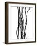 Nature's Dance V-Monika Burkhart-Framed Photographic Print