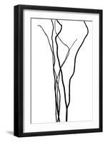 Nature's Dance VI-Monika Burkhart-Framed Photographic Print