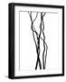 Nature's Dance VII-Monika Burkhart-Framed Photographic Print