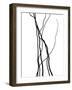 Nature's Dance VIII-Monika Burkhart-Framed Photographic Print