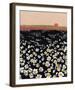 Nature's Delight-Joelle Wehkamp-Framed Giclee Print