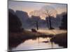 Nature's Early Morning Mist-Michael John Hill-Mounted Giclee Print