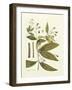 Nature's Elegance I-J.j. Plenck-Framed Art Print