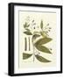 Nature's Elegance I-J.j. Plenck-Framed Art Print