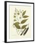 Nature's Elegance III-J.j. Plenck-Framed Art Print