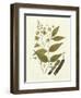 Nature's Elegance III-J.j. Plenck-Framed Art Print