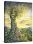 Nature's Embrace-Josephine Wall-Stretched Canvas