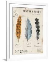 Nature's Feathers-Angela Staehling-Framed Art Print