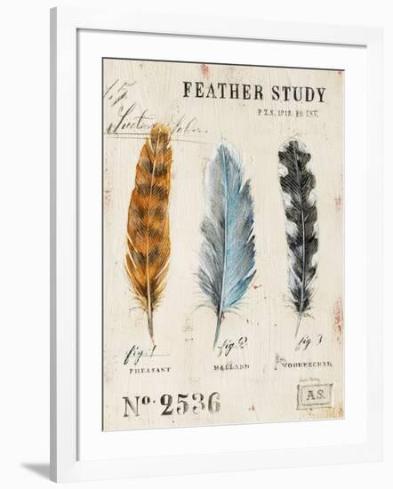 Nature's Feathers-Angela Staehling-Framed Art Print