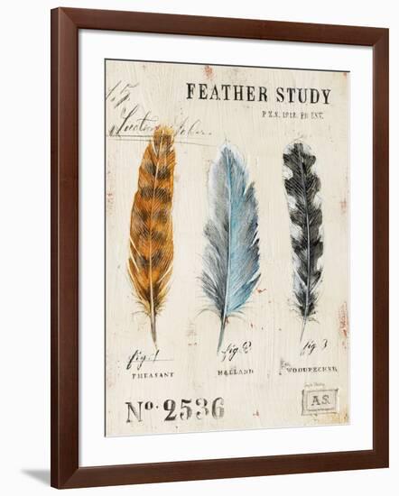 Nature's Feathers-Angela Staehling-Framed Art Print