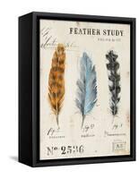 Nature's Feathers-Angela Staehling-Framed Stretched Canvas