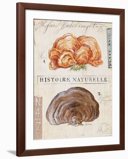 Nature's Fungus-Angela Staehling-Framed Art Print