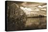 Nature's Glory-Ily Szilagyi-Stretched Canvas