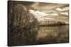 Nature's Glory-Ily Szilagyi-Stretched Canvas