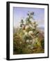 Nature's Glory-John Wainwright-Framed Giclee Print