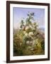 Nature's Glory-John Wainwright-Framed Giclee Print