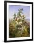 Nature's Glory-John Wainwright-Framed Giclee Print