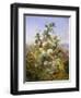 Nature's Glory-John Wainwright-Framed Giclee Print