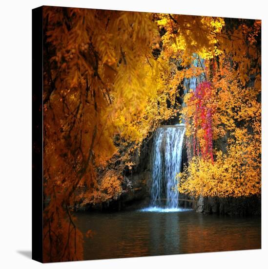 Nature's Gold-Philippe Sainte-Laudy-Stretched Canvas