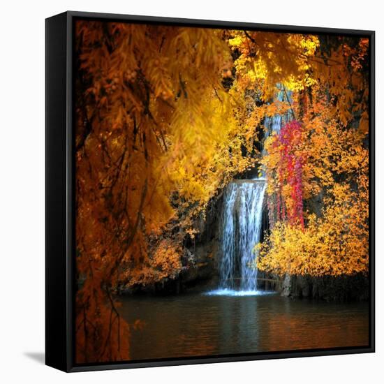 Nature's Gold-Philippe Sainte-Laudy-Framed Stretched Canvas